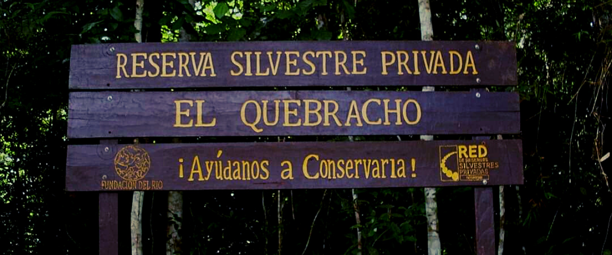 El Quebracho alberga una diversidad de especies entre reptiles, anfibios, mamíferos, aves, fauna y stock de 11,779 toneladas de carbono