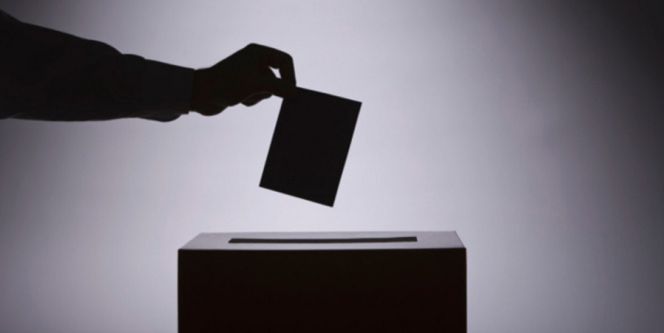 ¿Participar en las votaciones sin legitimidad?
